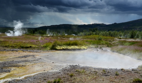 The Bacteria Thermus thermophilus lives in hot springs. Photo Peter Brzezinski