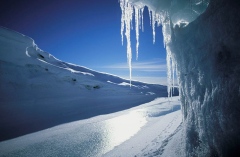 White Ice and snow reflects almost all sunlight. Foto Per Nordström, Greenland Greenlands icecap. Photo Per Nordström