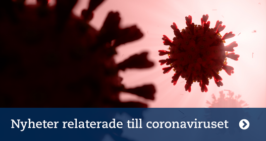 Coronarelaterad forskning. Bild på viruset. Mostphotos