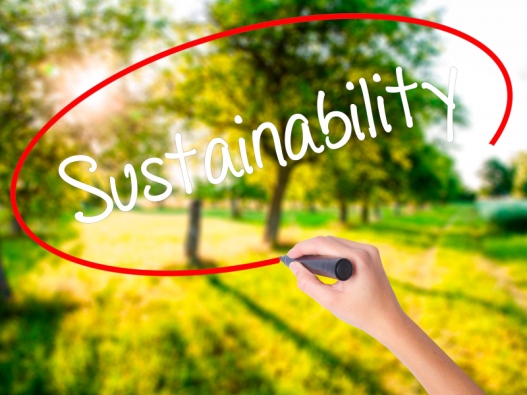 Ordet sustainability ringas in och i bakgrunden syns en skog med sol. 